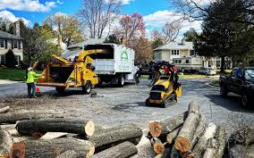 Best Emergency Tree Removal  in Waretown, NJ